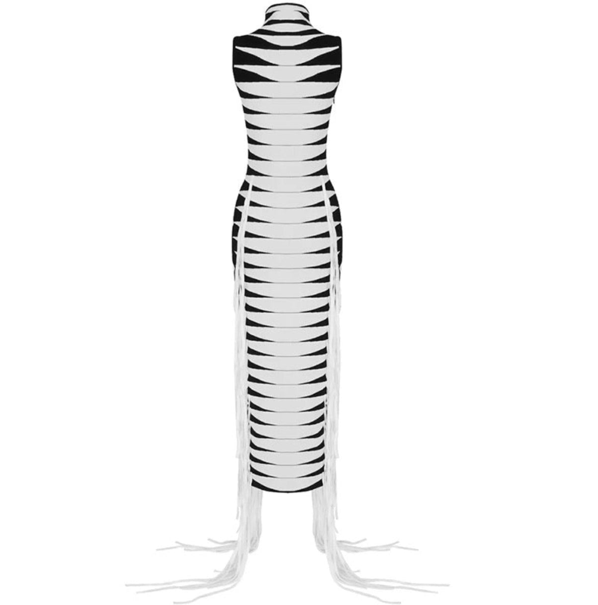 Abby Fringe Knit Dress