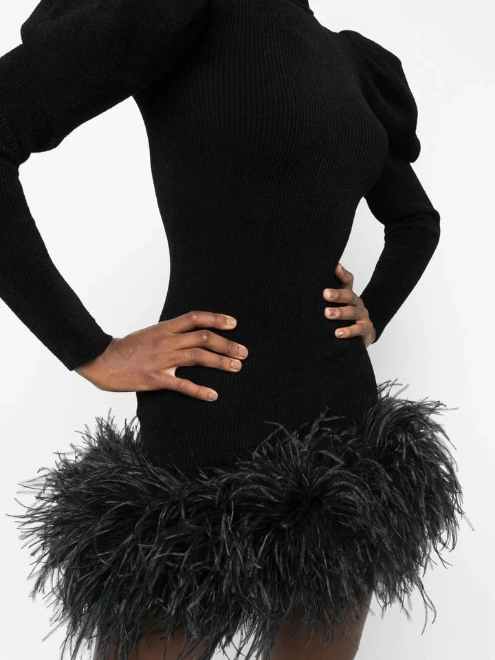 Black Feathers Puff Sleeves Dress
